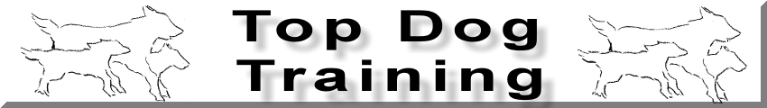 Top Dog Training Logo